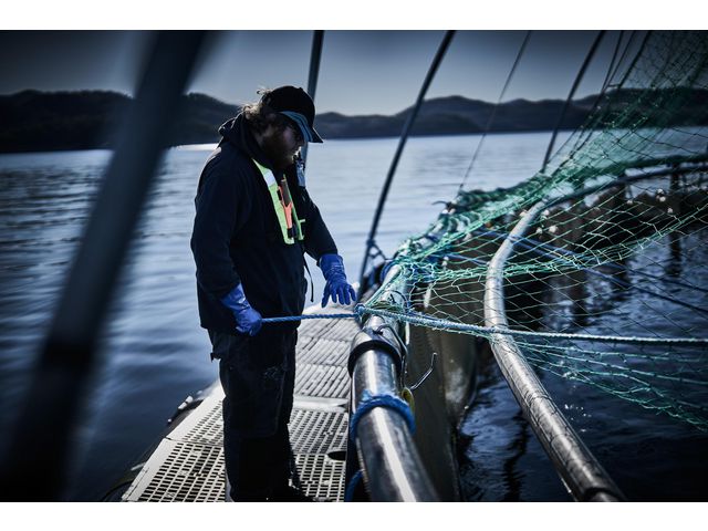 Kemikaliehandske GRANBERG 0630 9