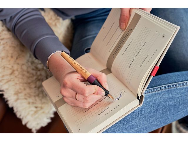 Reservoarpenna STABILO Grow Björk